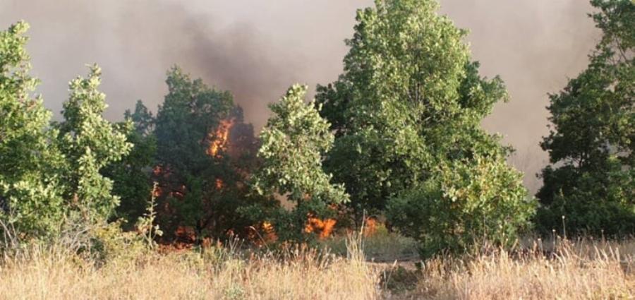 ΚΑΣΤΟΡΙΑ: Δεσπότης μπήκε στη φωτιά με το λείψανο της Αγίας Παρασκευής και το θαuμα έγινε!