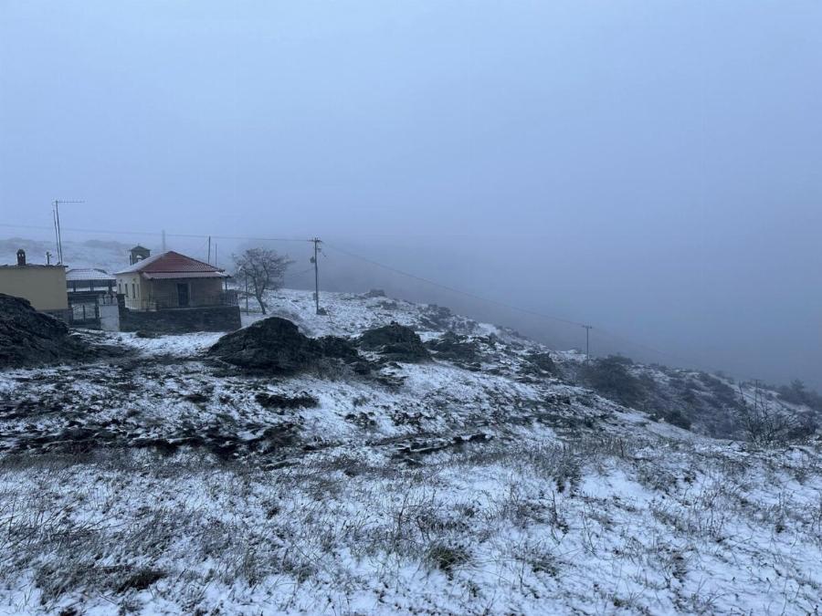 Στα «λευκά» η Λάρισα: Μαγικές εικόνες από τα πρώτα χιόνια σε Ελασσόνα και Προφήτη Ηλία