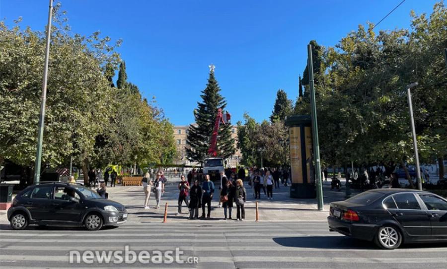 «Είναι το καλύτερο δέντρο στην Ευρώπη» – Στολίστηκε το χριστουγεννιάτικο δέντρο στο Σύνταγμα και οι εικόνες μαγεύουν