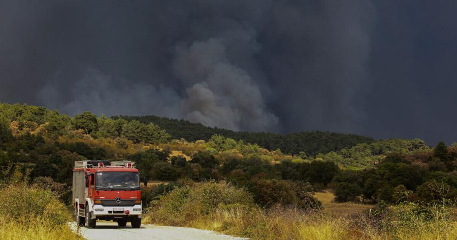 Έβρος: Ένα χρόνο μετά τη φωτιά, βάζουν ανεμογεννήτριες σε βιότοπους