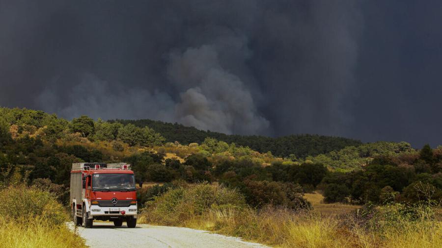 Έβρος: Ένα χρόνο μετά τη φωτιά, βάζουν ανεμογεννήτριες σε βιότοπους