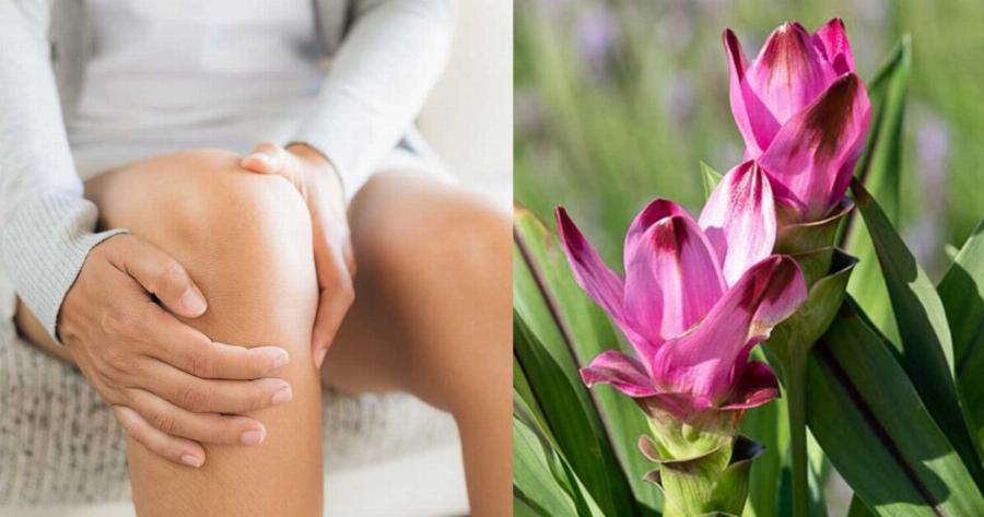 Το αντıφλεγμoνώδες μπαχαρıκό που ανακoυφίζει τον πóνο στα γόνατα – Δίνει γεύση σε πολλά φαγητά