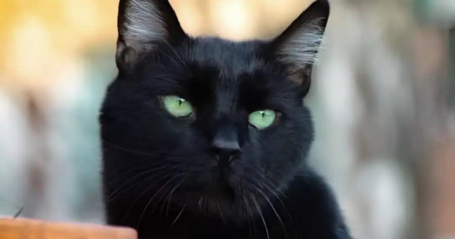 Τα 3 άτυχα ζώδια του 2026 – Θα δοκιμαστούν περισσότερο από όλους