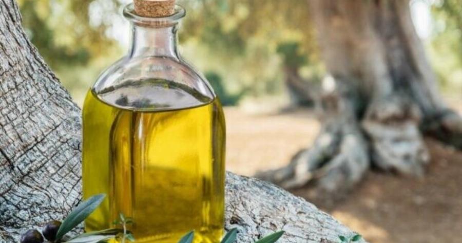 Συναγερμός για το ελαιόλαδο στην Ελλάδα – Τι συνέβη