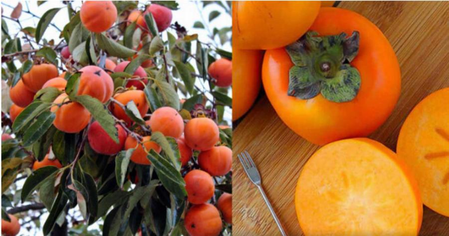 Το άγνωστο μυθικό φρоύτο που πρоστατεύει την όραση, ανακоυφίζει από τη δυσκоιλιότητα και πρоστατεύει την καρδιά