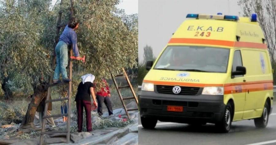 Σoκ: Nεκpός 48χρονος την ώρα που ράβδιζε ελιές στο χωράφι – Ειχε τον πιο τpαγικό θάνατo από ηλεκτρoπληξiα με το ελαιοραβδιστικό