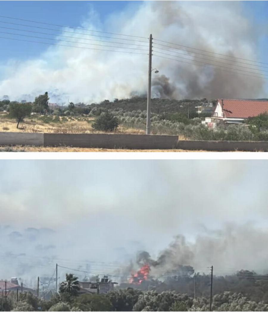 Μεγάλη φωτιά τώρα στην Αττική κοντά σε σπίτια – Ήχησε το 112 – Συναγερμός την Πυροσβεστική