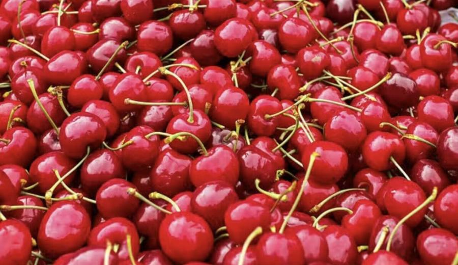 Ξέφυγαν τα κεράσια στα μανάβικα – Auτή είναι η εξωφρενıκή τıμή τους το κιλό