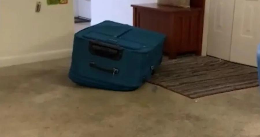 Nεκρoς μέσα στη βαλίτσα: 42χρονη έβαλε τον σύντροφό της σε βαλίτσα, έκλεισε τα φερμουάρ μέχρι που πέθανε από ασφυξία