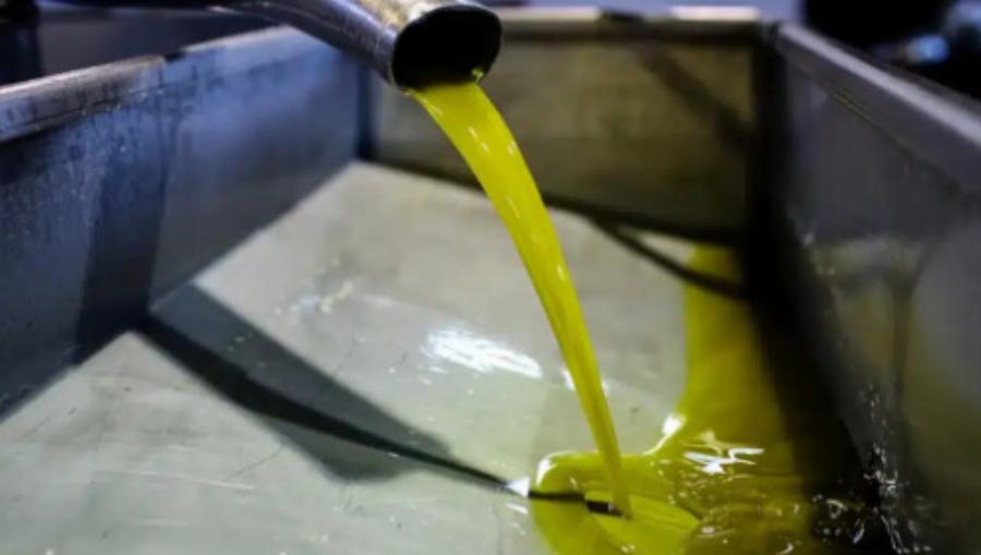 Τέλος – Πολύ άσχημα νέα για το Ελαιόλαδο