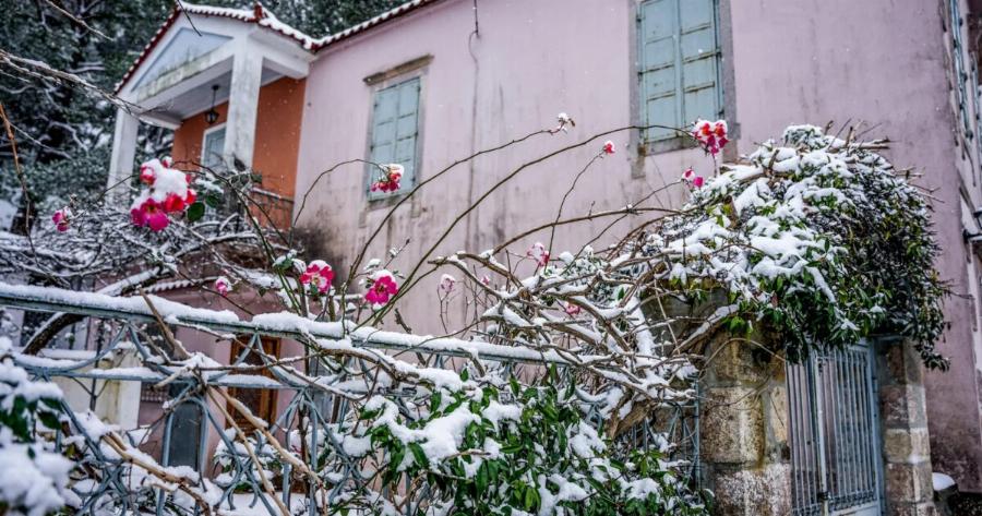 «Μίλησαν» τα Μερομήνια: Χιόνια μέσα στον Μάρτιο – Θα πνιγούν στο χιόνι