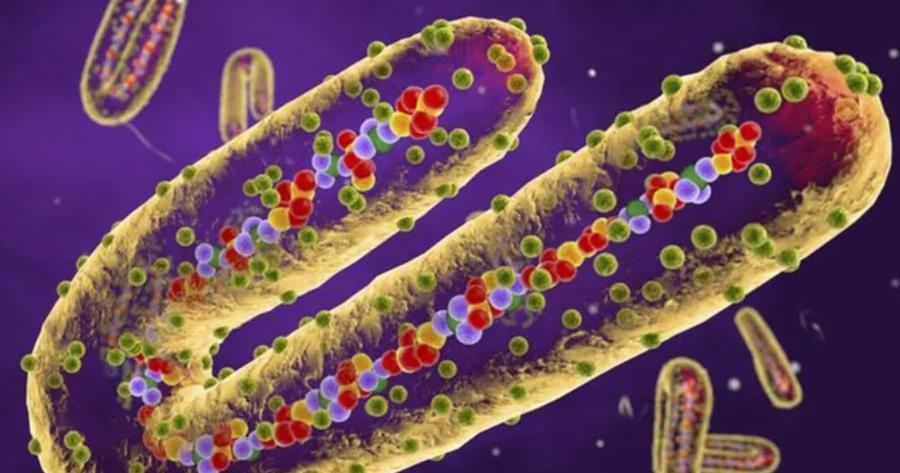 Έρχεται νέα καραντίνα; Αποκλείστηκε ολόκληρη αποβάθρα από κρούσμα νέου ιού