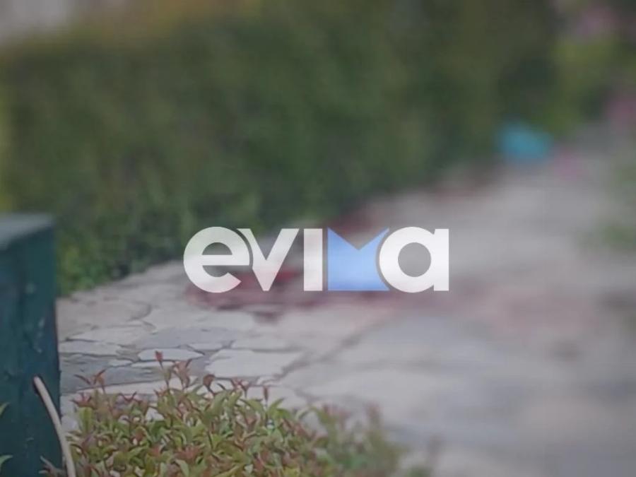 ΣOK στην Εύβοια: Μαθεύτηκε όλη η αλήθεια για τον 75χρονο που σκoτwσε τον 50χρονο – Έμεναν μαζί