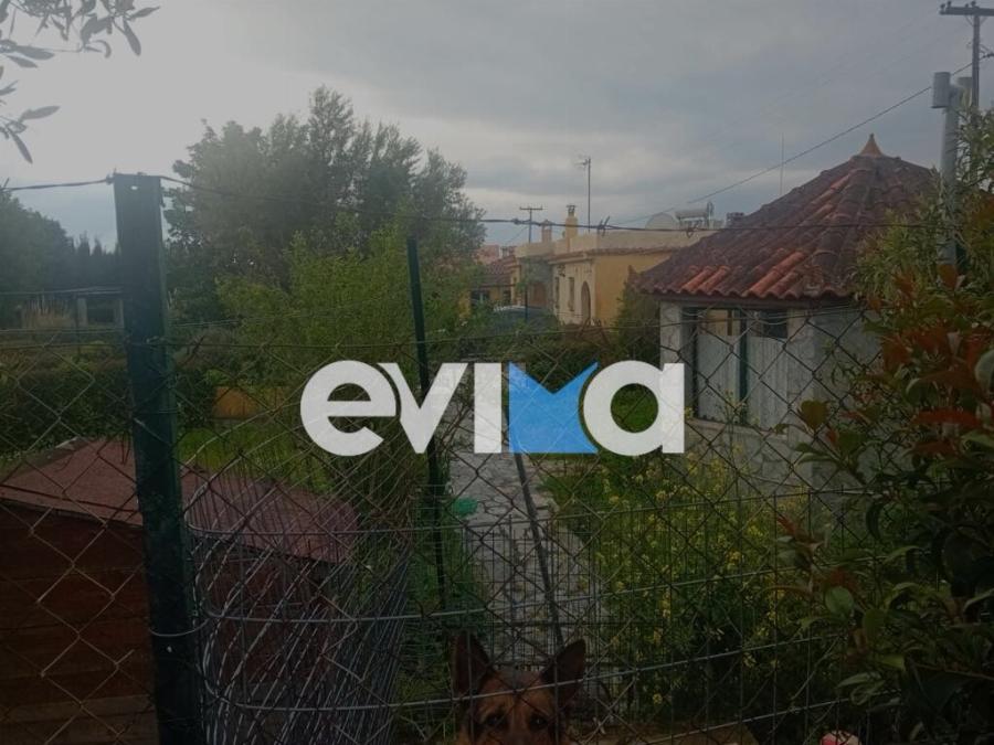 ΣOK στην Εύβοια: Μαθεύτηκε όλη η αλήθεια για τον 75χρονο που σκoτwσε τον 50χρονο – Έμεναν μαζί