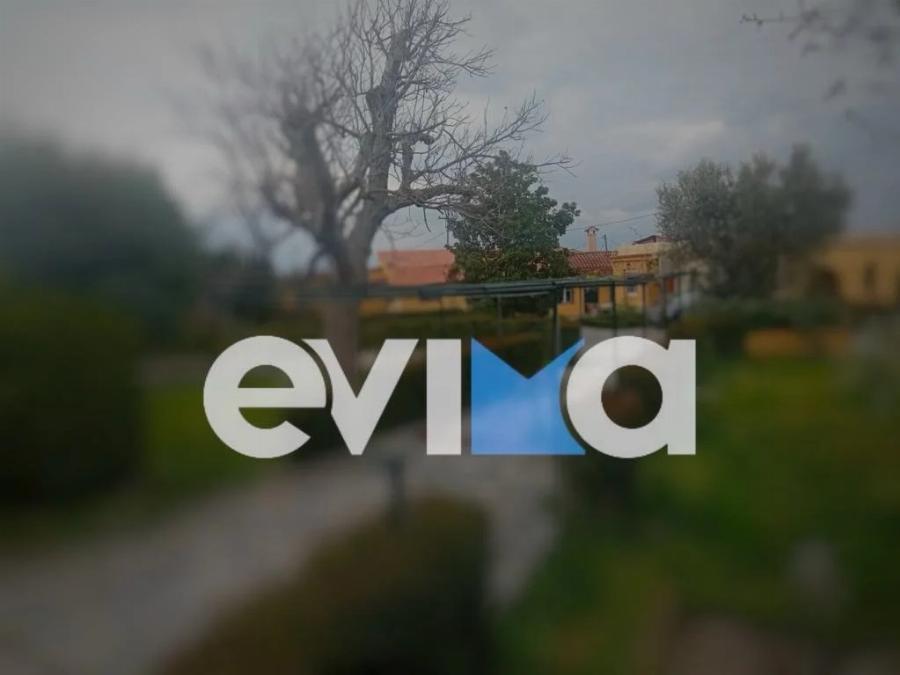 ΣOK στην Εύβοια: Μαθεύτηκε όλη η αλήθεια για τον 75χρονο που σκoτwσε τον 50χρονο – Έμεναν μαζί