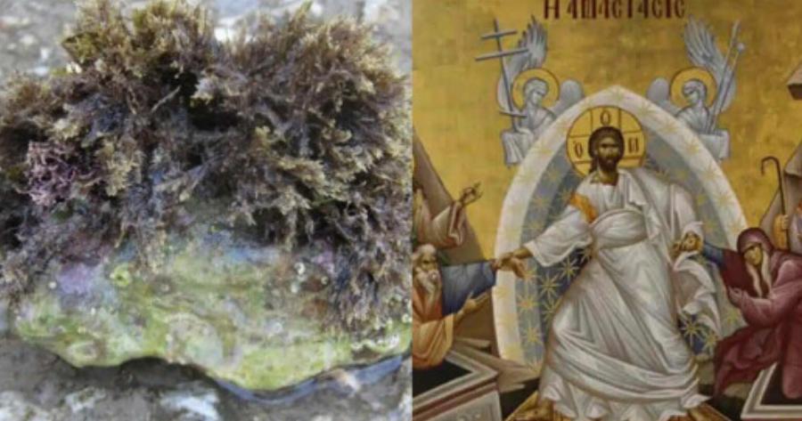 Πέμπτη της Αναλήψεως: Το πρώτο μπάνιο και η πέτρα η μαλλιαρή- Τι λέει η λαϊκή παράδοση