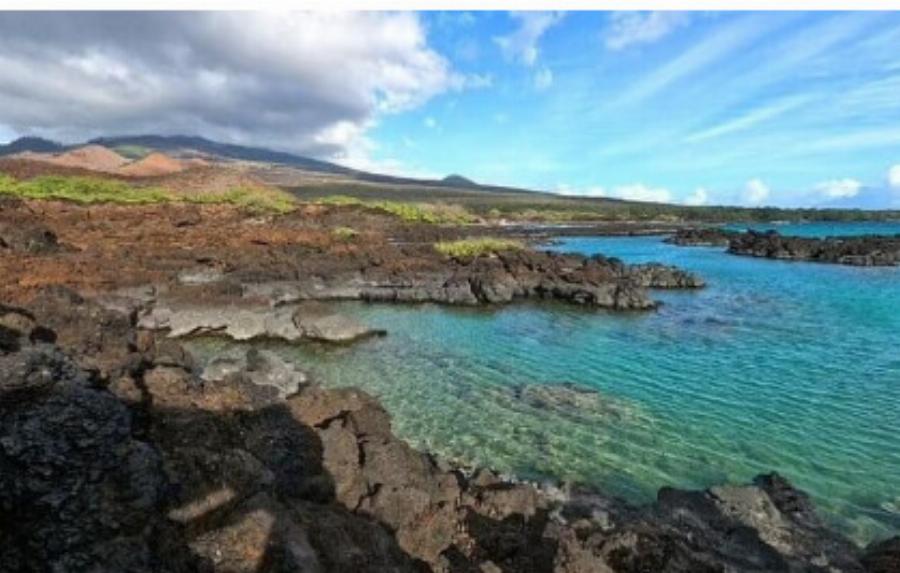 Έγκυος μητέρα και ο σύζυγός της πνίγηκαν σε διακοπές – Άφησαν πίσω τους ένα μωρό 18 μηνών