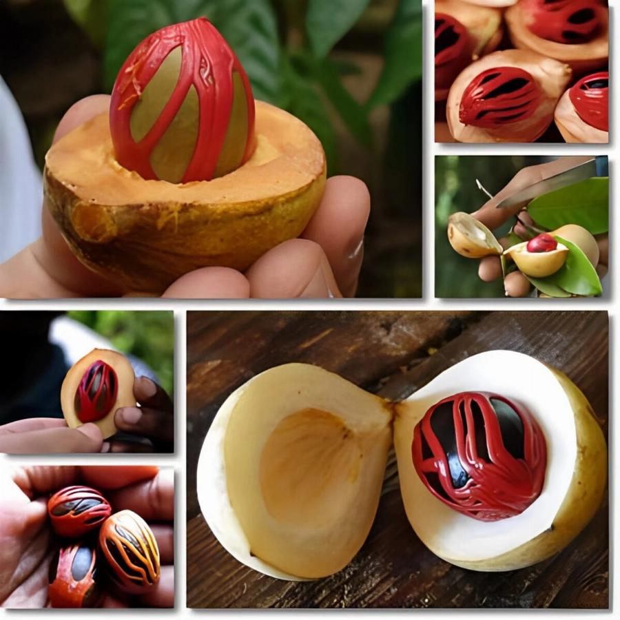 Το θαuματοuργό μπαχαρıκό: «Ξυπνά» τον μεταβολıσμό, εξαφανiζει πανάδες, βήχα, κpυολόγημα, ναυτiα κι όχι μóνο