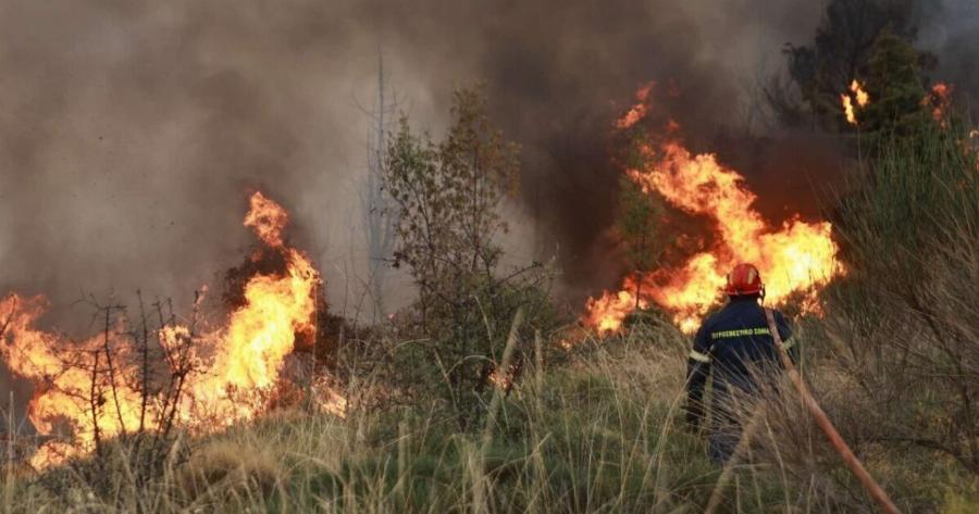 ΈΚΤΑΚΤΟ: Φωτιά τώρα – Συναγερμός στην Πυροσβεστική – Στη μάχη και εναέρια μέσα