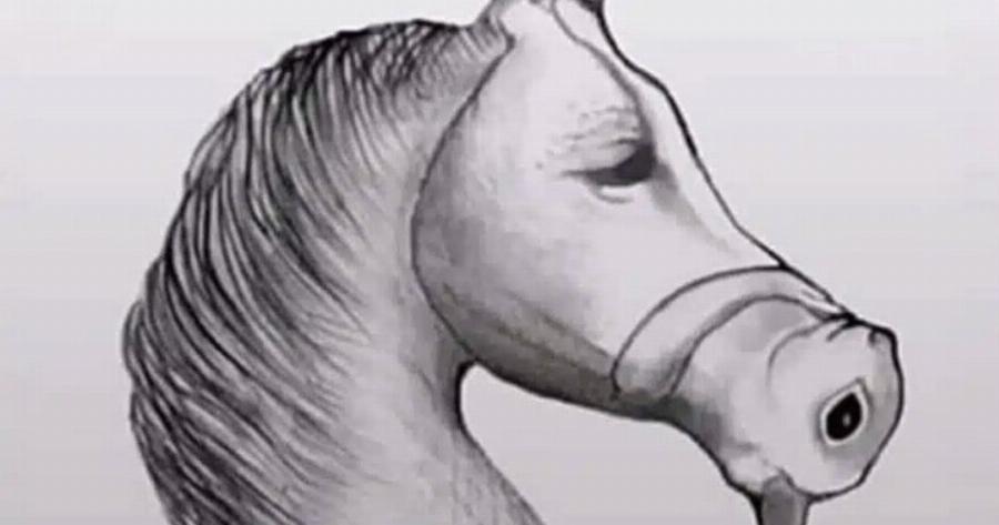 Ο μέσος άνθρωπος το βλέπει Auτo ως άλογο