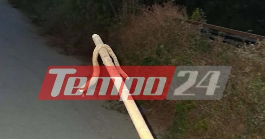ΣΟΚ ΣΕ ΠΑΣΙΓΝΩΣΤΗ ΠΟΛΗ ΤΗΣ ΕΛΛΑΔΑΣ: ΕΧΕΙ ΓΕΜΙΣΕΙ Ο ΤΟΠΟΣ ΦΙΔΙΑ ΚΑΙ ΠΟΝΤΙΚΙΑ – ΦΟΒΟΥΝΤΑΙ ΝΑ ΑΝΟΙΞΟΥΝ ΠΟΡΤΕΣ ΚΑΙ ΠΑΡΑΘΥΡΑ ΟΙ ΚΑΤΟΙΚΟΙ ΜΗΝ ΜΠΟΥΝ ΜΕΣΑ