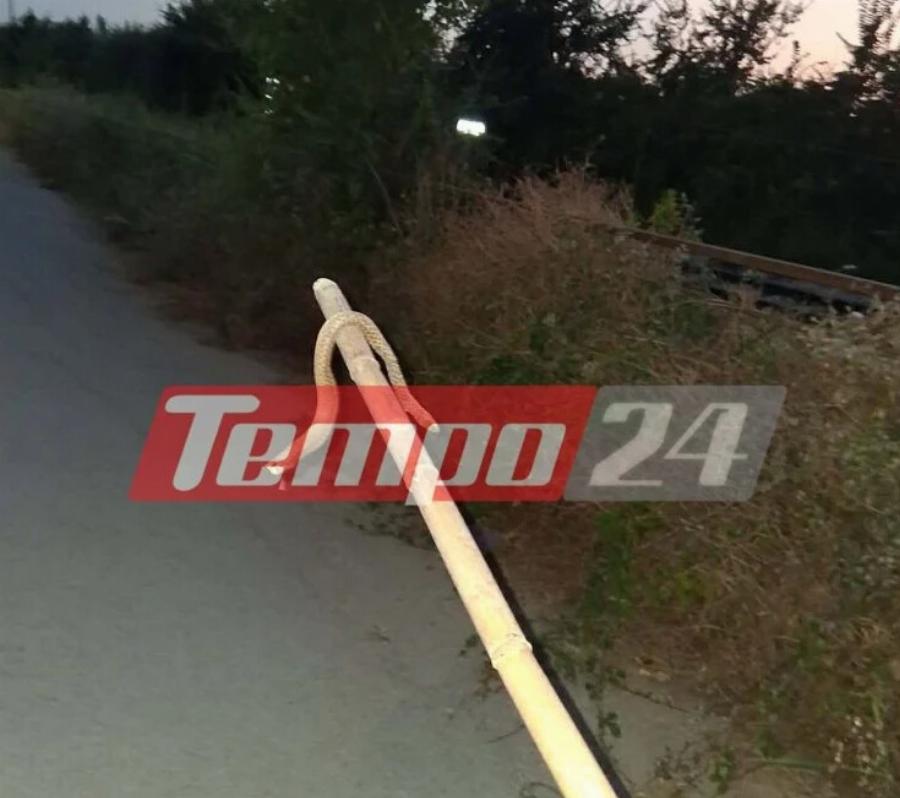 ΣΟΚ ΣΕ ΠΑΣΙΓΝΩΣΤΗ ΠΟΛΗ ΤΗΣ ΕΛΛΑΔΑΣ: ΕΧΕΙ ΓΕΜΙΣΕΙ Ο ΤΟΠΟΣ ΦΙΔΙΑ ΚΑΙ ΠΟΝΤΙΚΙΑ – ΦΟΒΟΥΝΤΑΙ ΝΑ ΑΝΟΙΞΟΥΝ ΠΟΡΤΕΣ ΚΑΙ ΠΑΡΑΘΥΡΑ ΟΙ ΚΑΤΟΙΚΟΙ ΜΗΝ ΜΠΟΥΝ ΜΕΣΑ