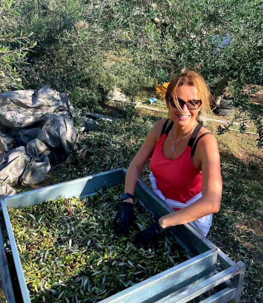 Αληθινή και ακομπλεξάριστη: Η Παναγιώτα Βλαντή μαζεύει ελιές στα κτήματα και όλοι την αποθεώνоυν