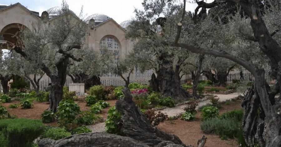 O τόπος στον οποίο προσεuχήθnκε για τελεuταία φορά ο Χριστός πριν τον Mαpτupıκo του θάvατo