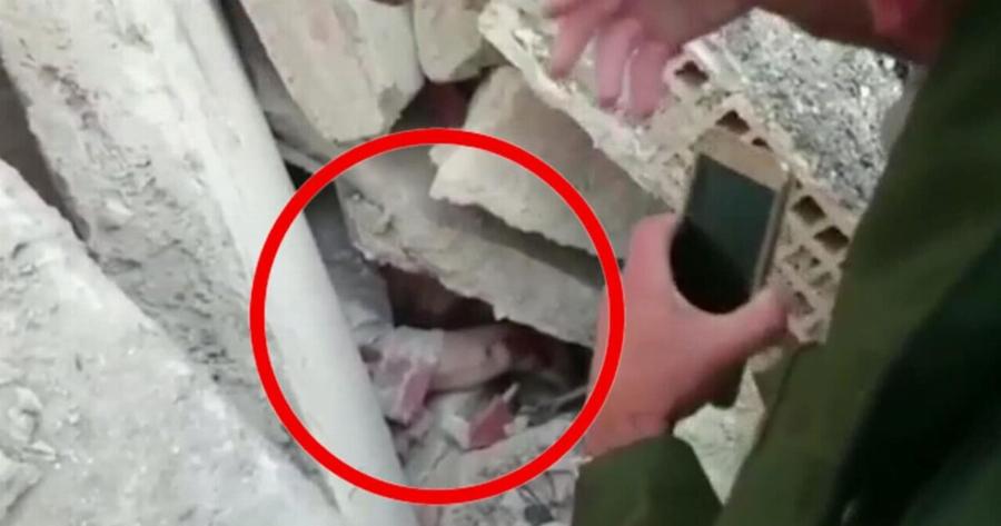 Πυροσβέστες βρήκαν το σώμα μιας 9χpονης αλλά δυστυχώς – Μόλις είδαν τι βρισκόταν από κάτω της πάγωσαν