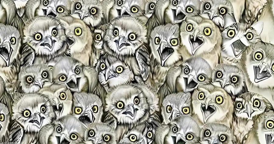 Μόνο οι άνθρωποι με όραση 20/20 μπορούν να βρουν τη γάτα στην εικόνα