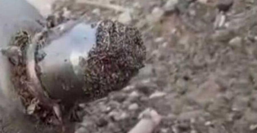 Τρίβει ακόμα τα μάτια του: Δεν το πίστευε αυτό που βρήκε κολυμβητής σε παραλία της Ρόδου