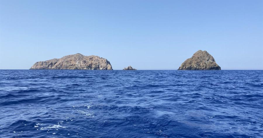 Προειδοποίηση WWF προς Έλληνες ψαράδες και καταναλωτές: Μην φάτε αυτό το ψάρι