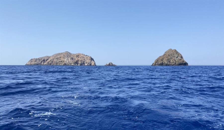 Προειδοποίηση WWF προς Έλληνες ψαράδες και καταναλωτές: Μην φάτε αυτό το ψάρι