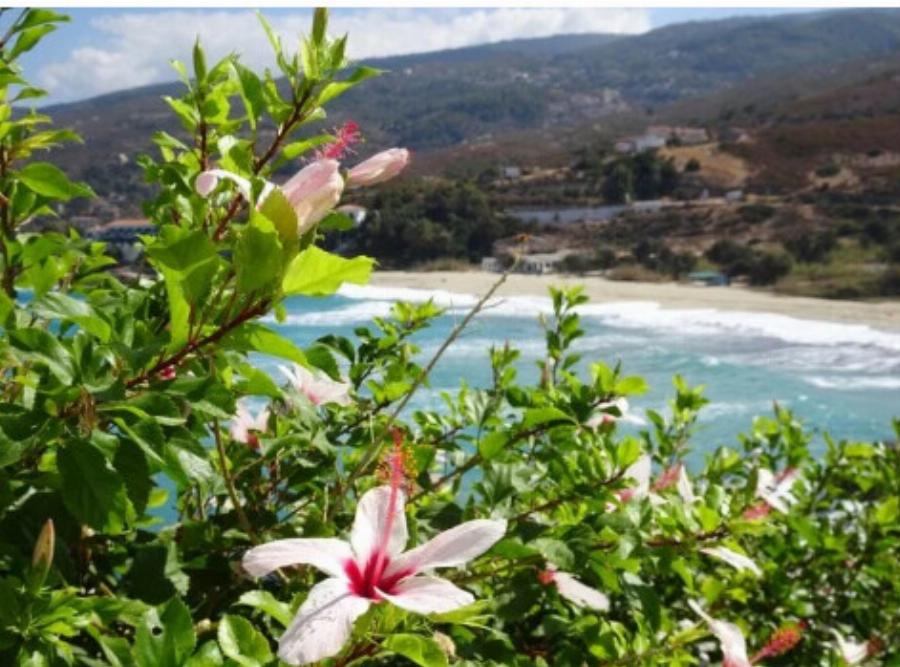 Ζει τη νύχτα: Το μοναδικό χωριό στην Ελλάδα που τα μαγαζιά ανοίγουν στις 11 το βράδυ