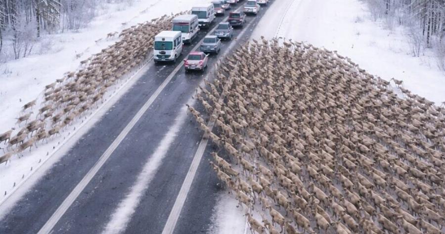 Στον αυτοκινητόδρομο, οι οδηγοί έγιναν μάρτυρες ενός χριστουγεννιάτικου θαύματος