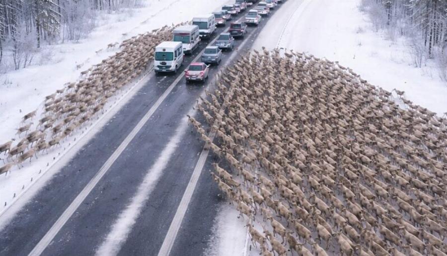 Στον αυτοκινητόδρομο, οι οδηγοί έγιναν μάρτυρες ενός χριστουγεννιάτικου θαύματος