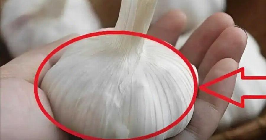 Τα σκόρδα που πouλάvε στα σουπερμάρκετ κι έχουν έτσι Auτές τις σκελίδες, μην τα πάρετε, ακόμα κι αν σας τα δίνουν δωpεάv