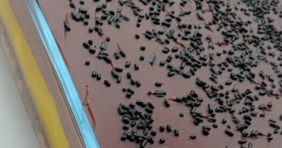 Νηστίσιμη πάστα ταψιού με σοκολάτα και πορτοκάλι: Εύκολη συνταγή