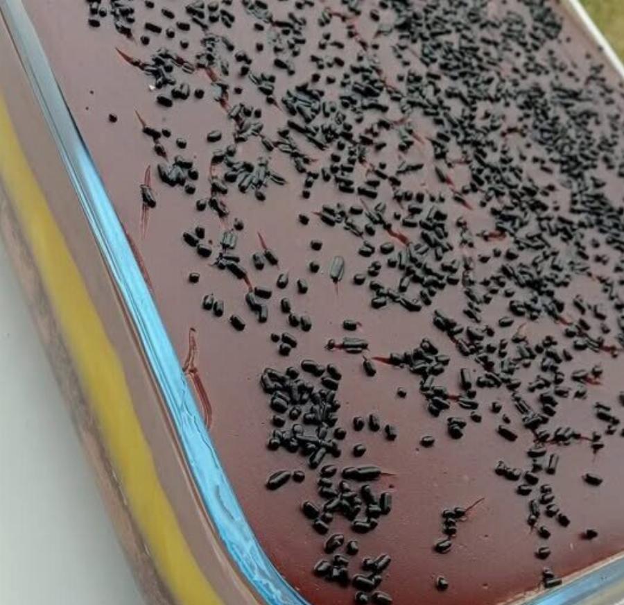 Νηστίσιμη πάστα ταψιού με σοκολάτα και πορτοκάλι: Εύκολη συνταγή