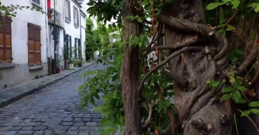 Θάσος: Πέθανε στον ύπνο της μητέρα δύο παιδιών που είχε φτάσει για να δουλέψει το καλοκαίρι