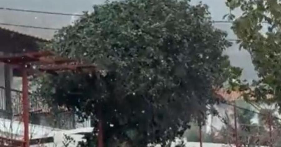 Τώρα: Ξεκίνησε να χιονίζει – Δείτε που και βίντεο