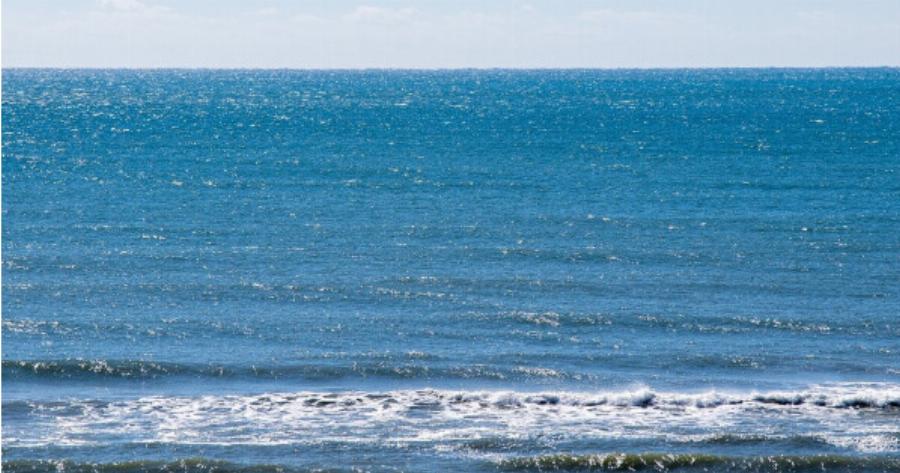 Συναγερμός: Εμφανίστηκε σαρκοφάγο βακτήριο στη θάλασσα – Σκοτώνει σε 48 ώρες