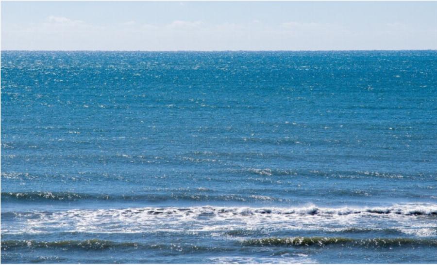 Συναγερμός: Εμφανίστηκε σαρκοφάγο βακτήριο στη θάλασσα – Σκοτώνει σε 48 ώρες