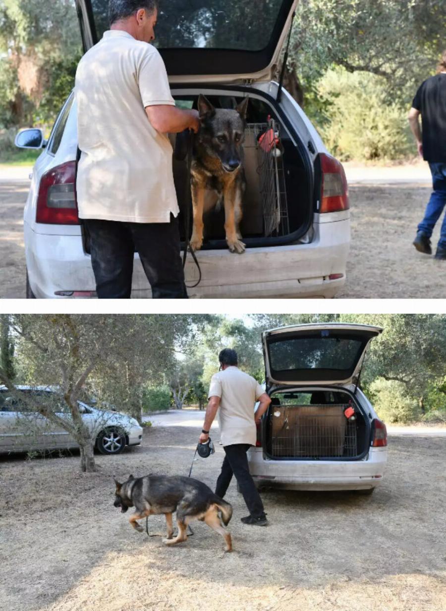Όλα όσα έγινε στον γάμο της χρονιάς Κασσελάκης και Tάιλερ – Οι διπλοί έλεγχοι, η αφαίρεση των κινητών, τα μίνι μπας, η Φάρλι
