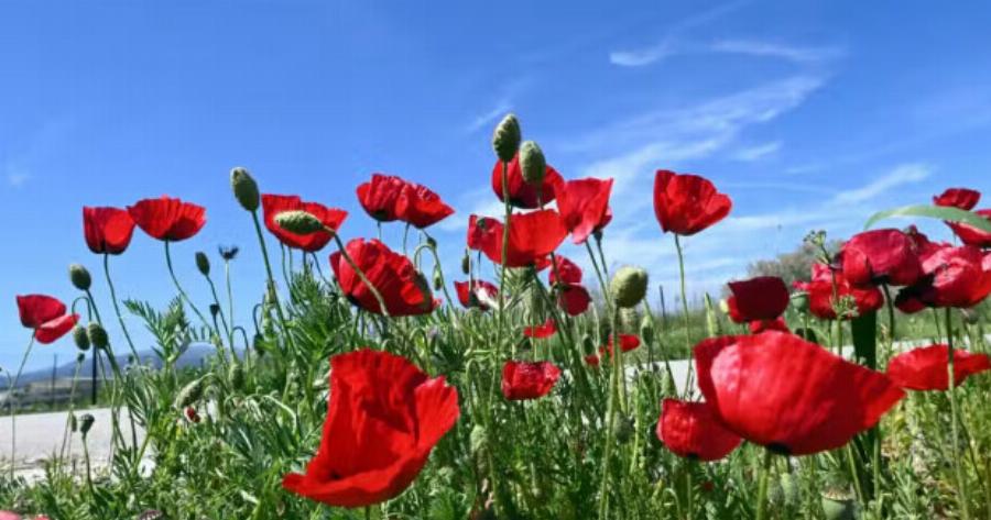 Ανατpοπή με τον καιρό, πότε θα ξαναβάλουμε «μπουφάν»