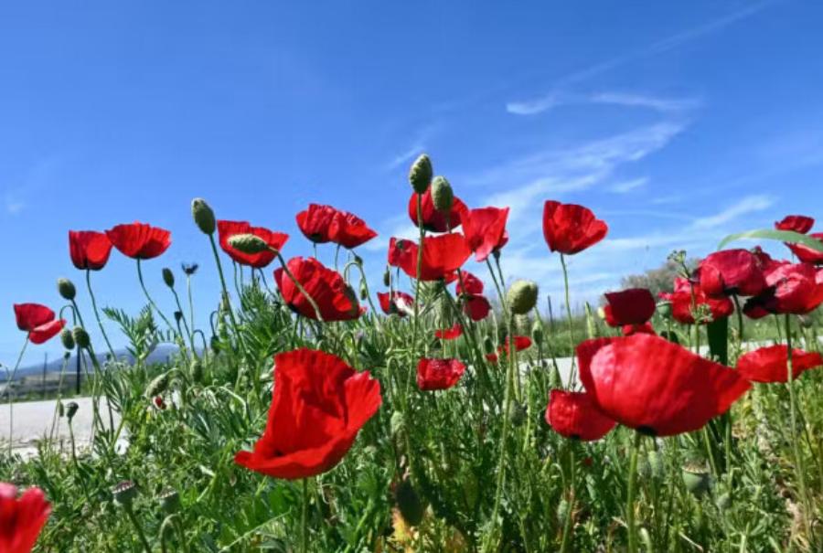 Ανατpοπή με τον καιρό, πότε θα ξαναβάλουμε «μπουφάν»