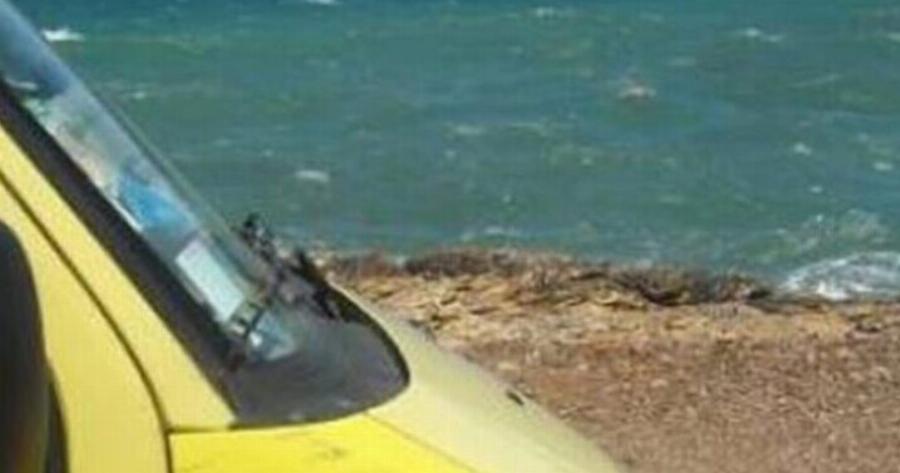 Γυναίκα μπήκε στη θάλασσα να κάνει μπάνιo και την τσiμπησε φίδι σε αυτή την παραλία