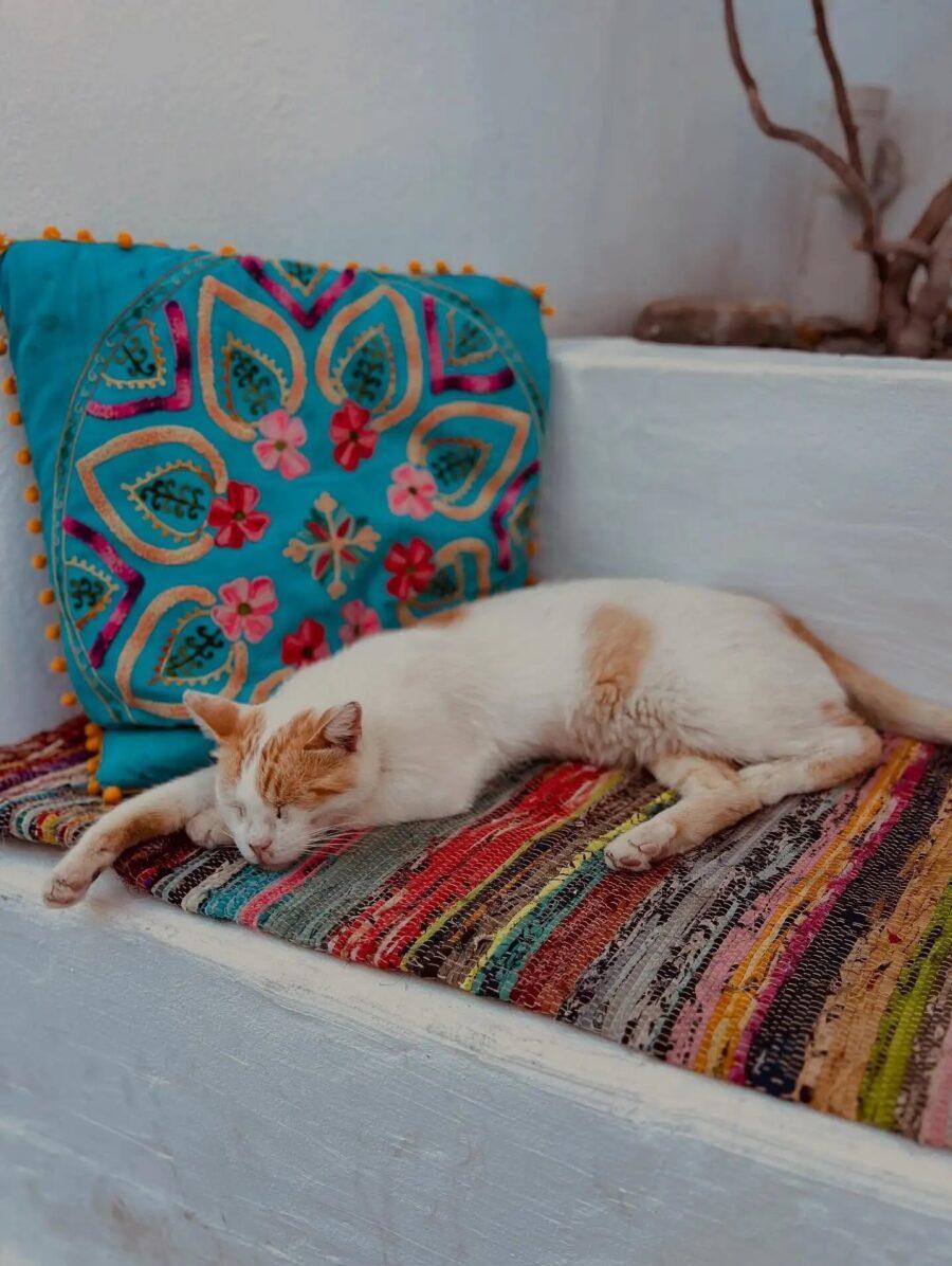 Δεν τη νοιάζει τι θα πει ο ένας κι ο άλλος…: Η Έλλη Κοκκίνου ανέβασε στα 55 αρετουσάριστη φώτο με Mπικivι και δείχνει το αληθινό της σώμα