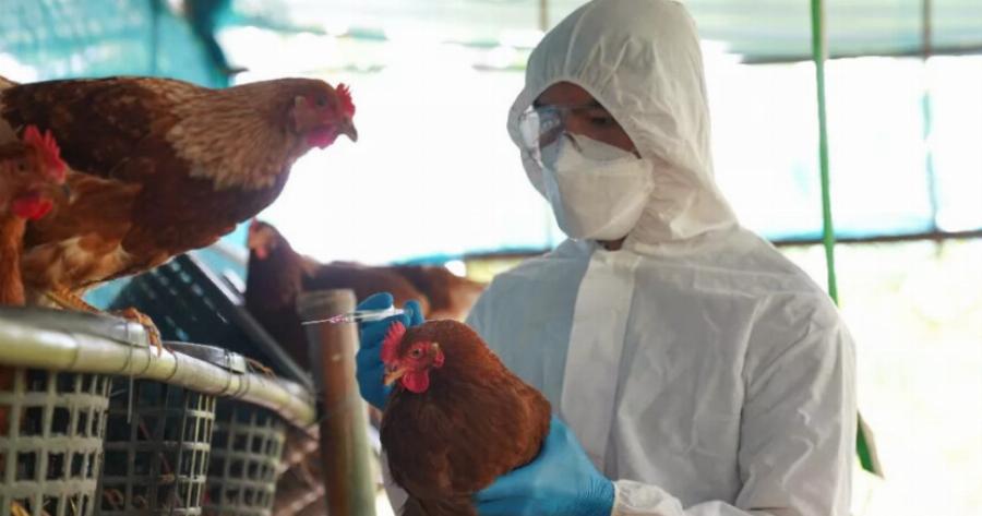 Συναγερμός: Η επόμενη πανδημία είναι κοντά και είναι πολύ πιθανόν να προκληθεί από τον ιό της γρίπης