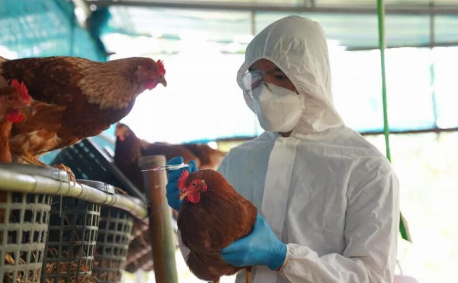 Συναγερμός: Η επόμενη πανδημία είναι κοντά και είναι πολύ πιθανόν να προκληθεί από τον ιό της γρίπης